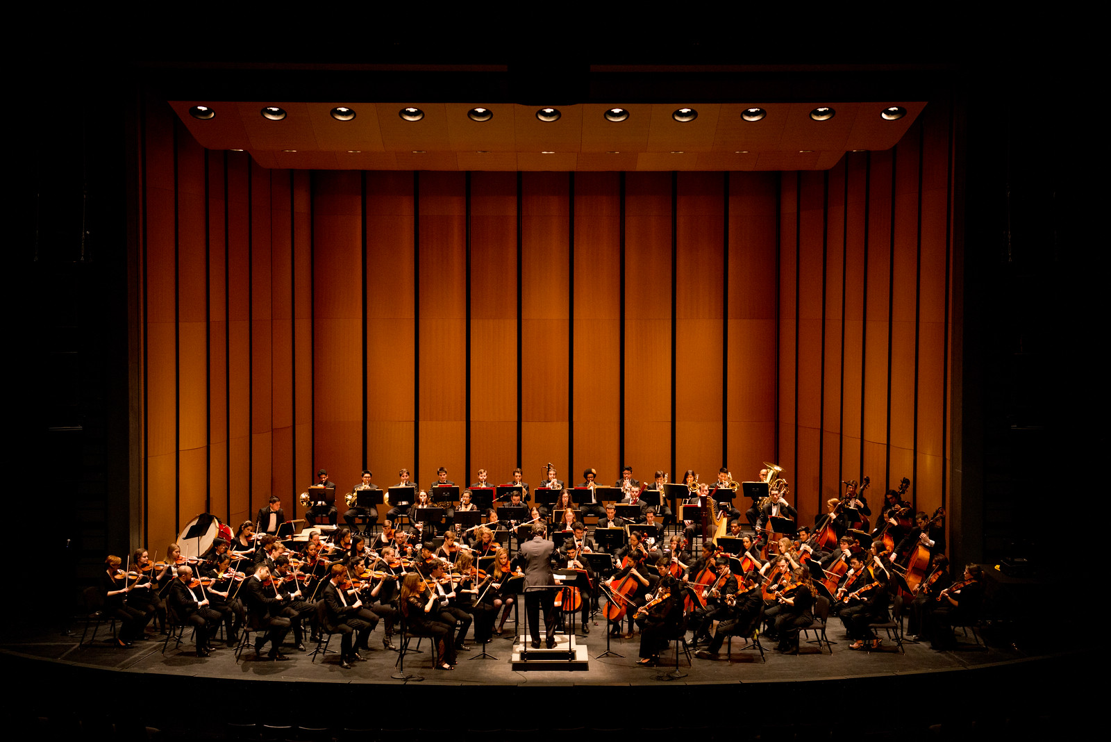 Chicago College of Performing Arts Auditions