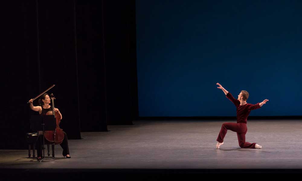 See the Music, Hear the Dance