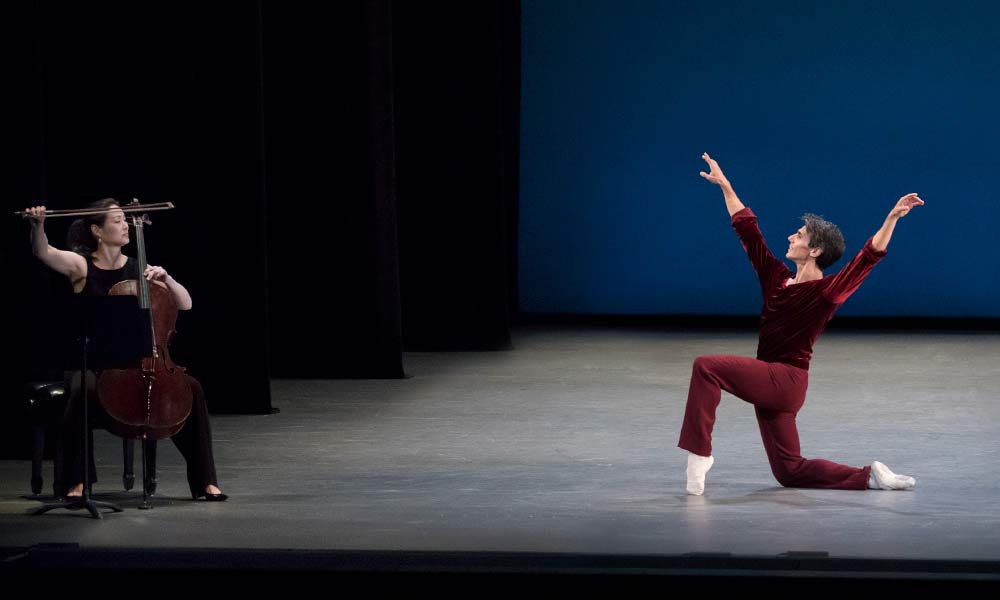See the Music, Hear the Dance