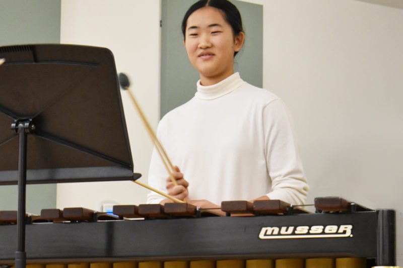 A marimba player performing.